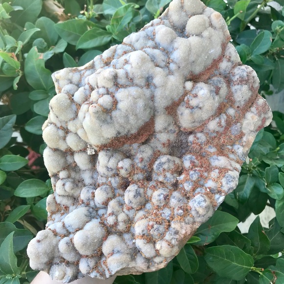 HUGE Druzy Quartz on Lace Agate!! - Picture 2 of 6